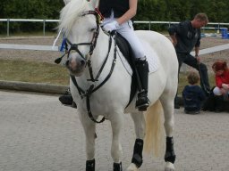 2012 Sommerturnering
